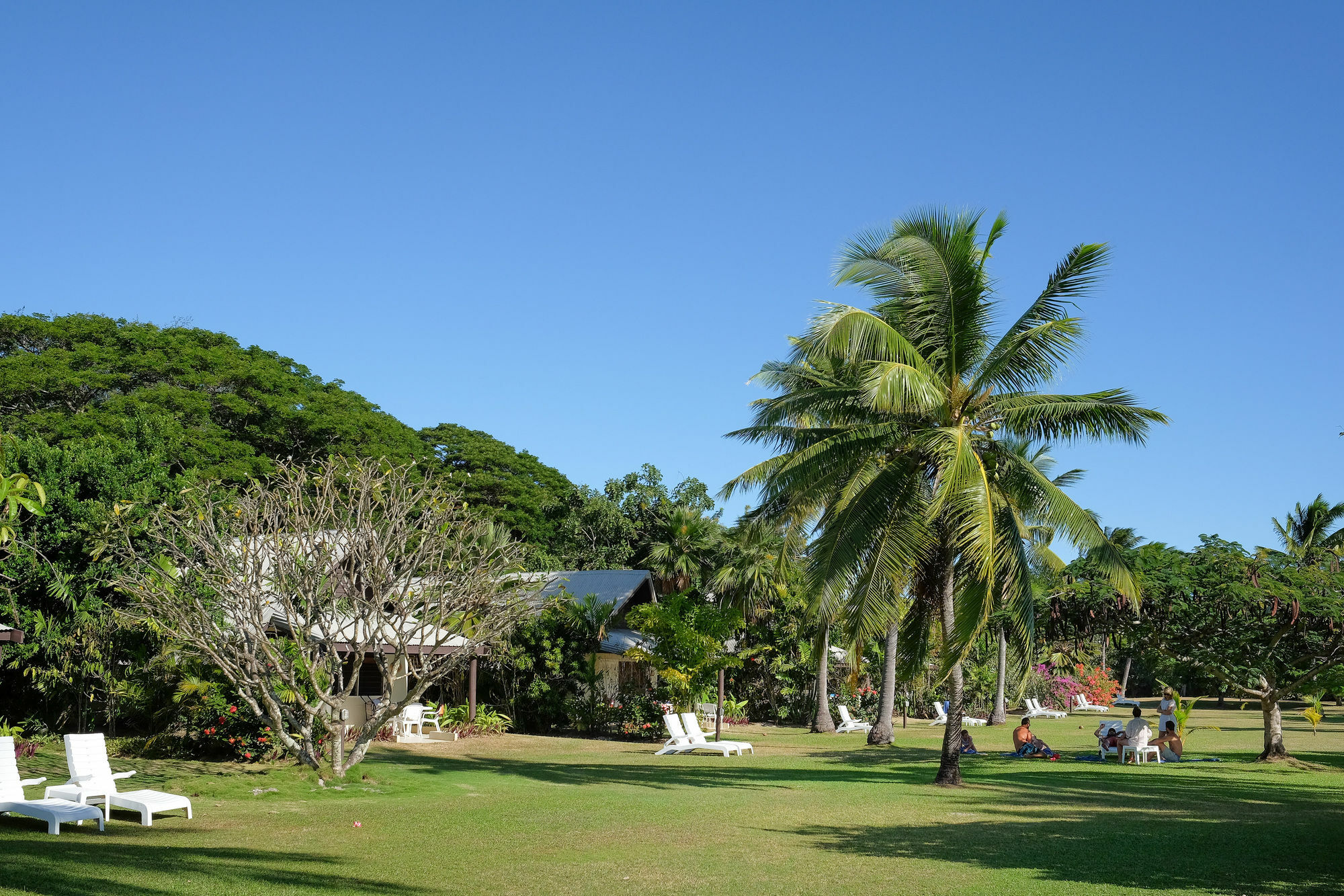 Musket Cove Island Resort Malololailai Eksteriør billede